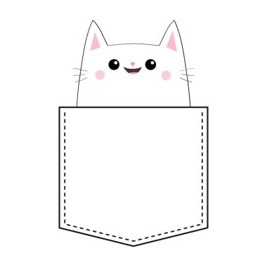 Beyaz arka plan üzerinde izole cebinde beyaz kedi