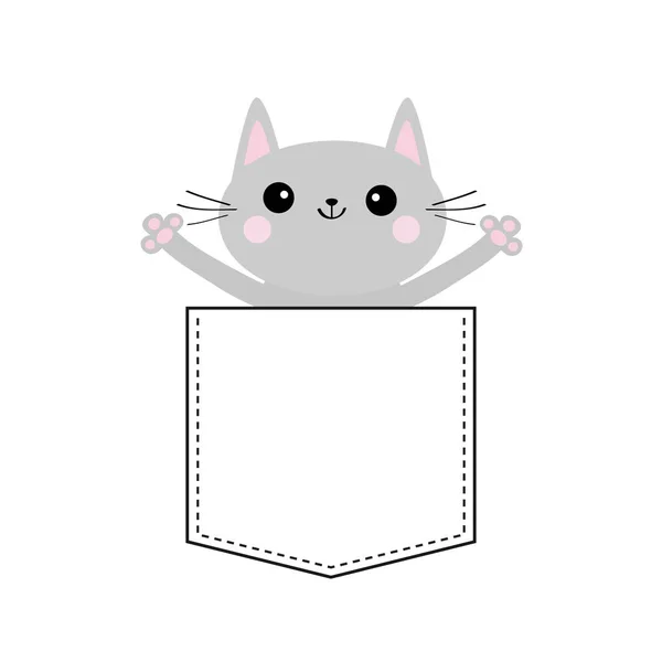 白い背景で隔離のポケットに灰色の猫 — ストックベクタ