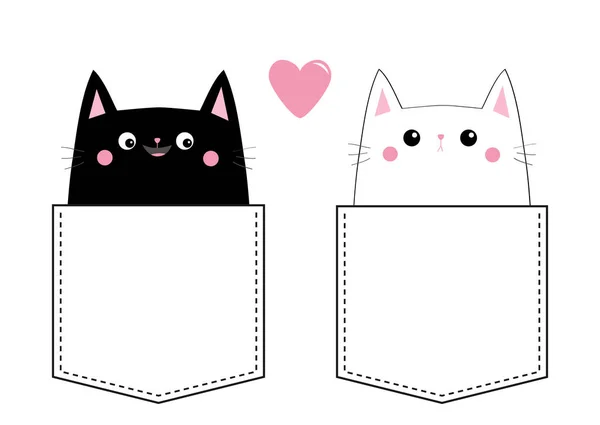 Schwarze Und Weiße Katzen Taschen Isoliert Auf Weißem Hintergrund — Stockvektor