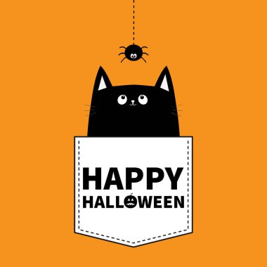 Cep turuncu arka plan asılı örümcek ile kedi