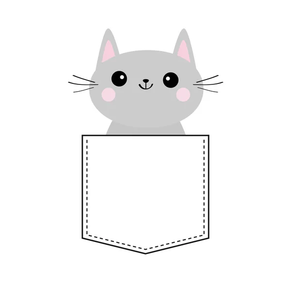 白で隔離 ポケットにかわいい灰色猫 — ストックベクタ