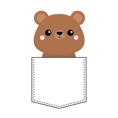 Kuzey Amerika boz ayısı baş yüz beyaz izole cebinde