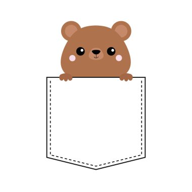 Kuzey Amerika boz ayısı beyaz izole cebinde