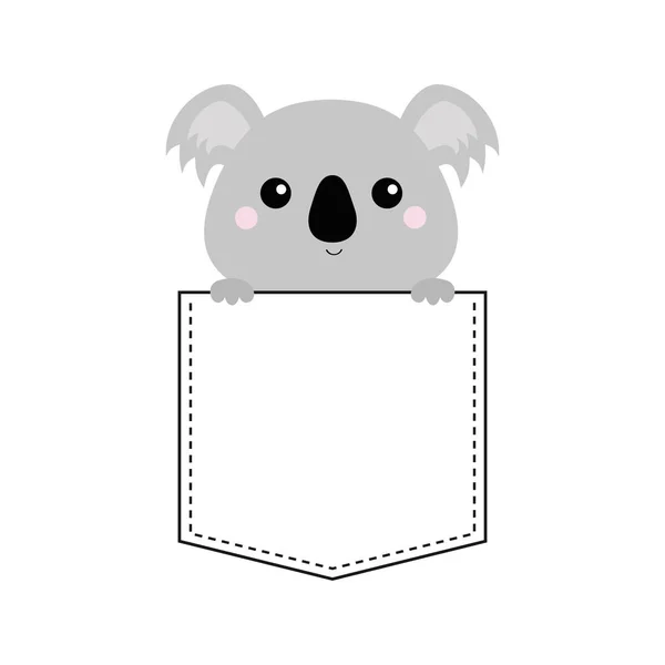 Koala Bear Sitting Pocket Isolated White — Stock Vector