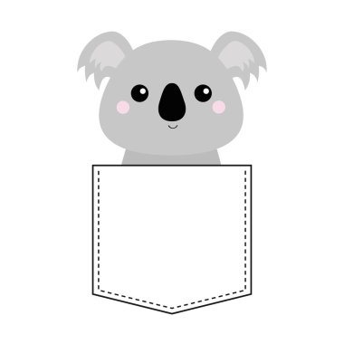 Cebinde, üzerinde beyaz izole oturan koala ayısı