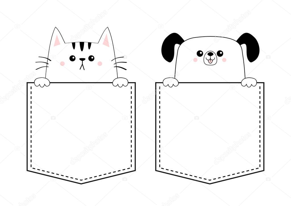 Dog and cat set in the pockets holding paws, isolated on white