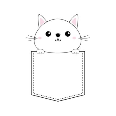 Beyaz arka plan üzerinde izole cep de şirin bebek kedi