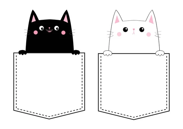 白い背景で隔離のポケットに黒と白の猫 — ストックベクタ