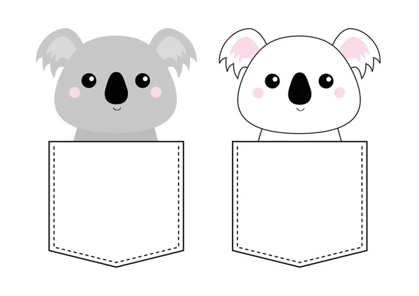 Koala Osos Sentados Bolsillos Aislados Sobre Fondo Blanco — Archivo Imágenes Vectoriales