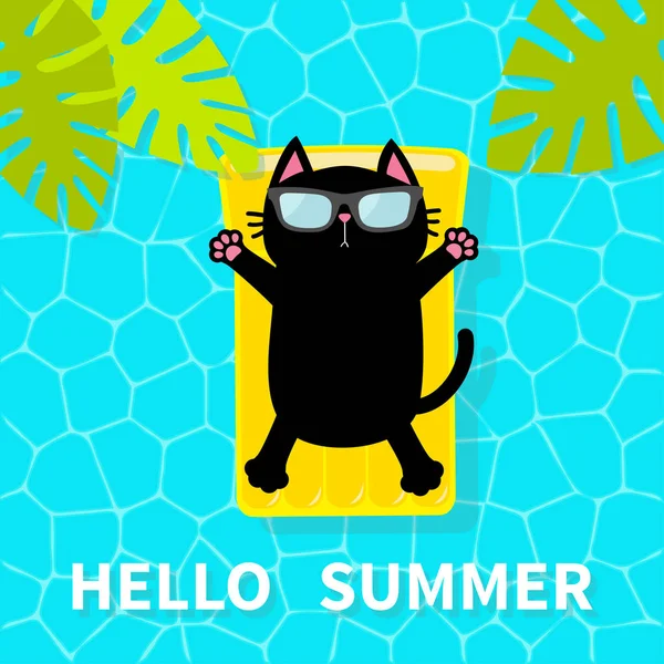 Halo Summer Kolam Renang Kucing Hitam Mengambang Kolam Kuning Mengapung - Stok Vektor