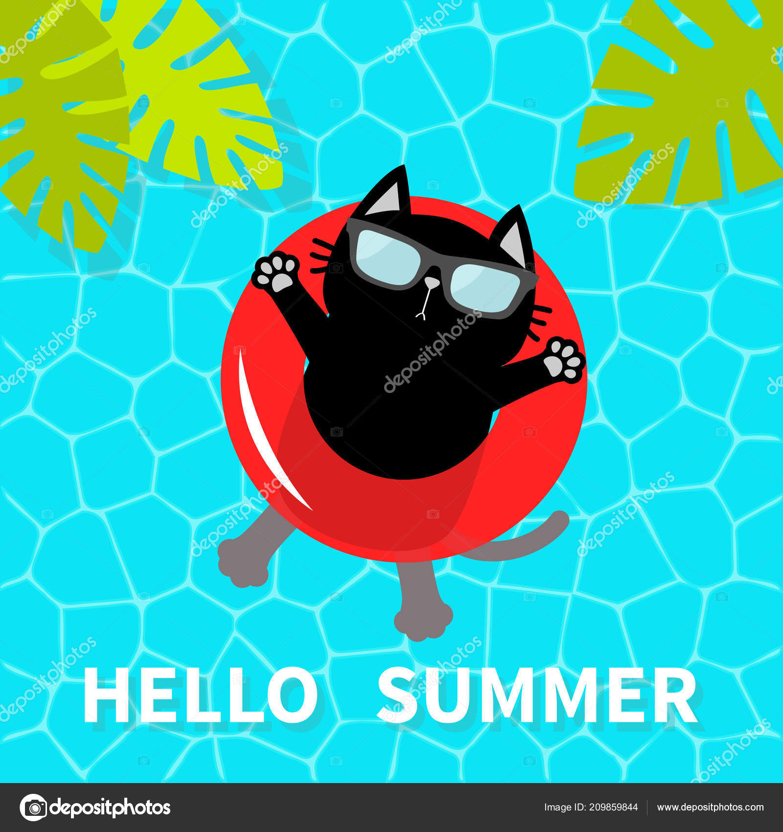 Hello Summer Swimming Pool Water Black Cat Floating Red Pool Stock