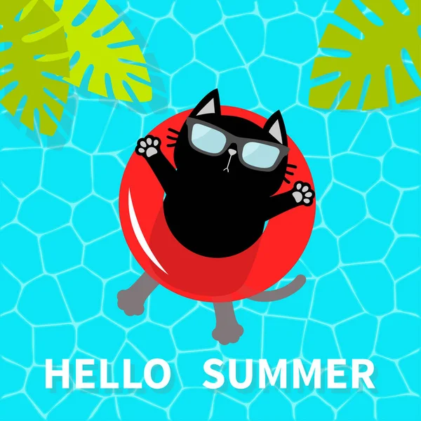 こんにちは夏 スイミング プールの水 赤いプール フロート水輪に浮かぶ黒い猫 上部の空気ビュー サングラス 救命浮環です ヤシの木の葉 かわいい漫画のキャラクターをリラックスします — ストックベクタ