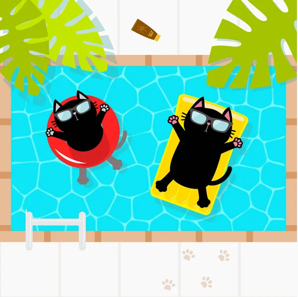 Piscine Piscine Chat Noir Flottant Sur Matelas Eau Flottant Piscine — Image vectorielle