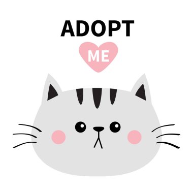 Gri kedi yuvarlak yüz beyaz arka plan üzerinde izole 