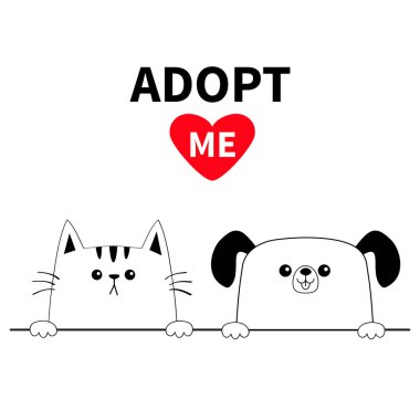 Kedi ve köpek kafası üzerinde izole beyaz arka plan yüz 