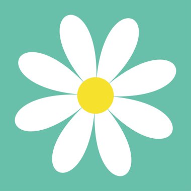 Beyaz papatya papatya. Sevimli çiçek bitki koleksiyonu. Papatya simgesi. Aşk kartı. Büyüyen kavramı. Düz tasarım. İzole. Yeşil arka plan. Vektör çizim