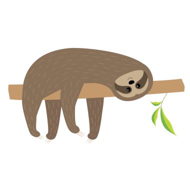 Ağaç dalı üzerinde yalan tembel hayvan. Kabarık kürk. Sevimli çizgi film karakteri. Vahşi orman hayvan koleksiyonu. Bebek eğitim. İzole. Beyaz arka plan. Düz tasarım. Vektör çizim