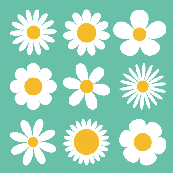 Kamillensatz Weiße Gänseblümchen Kamille Symbol Niedlichen Runden Blume Pflanzensammlung Liebeskartensymbol — Stockvektor