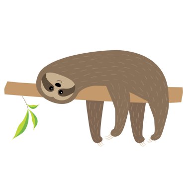 Ağaç dalı üzerinde yalan tembel hayvan. Sevimli çizgi film karakteri. Kabarık kürk. Vahşi orman hayvan koleksiyonu. Bebek eğitim. İzole. Beyaz arka plan. Düz tasarım. Vektör çizim