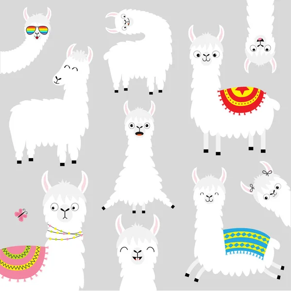 Conjunto Llama Alpaca Façam Uma Avaliação Facial Bonito Desenho Animado —  Vetores de Stock