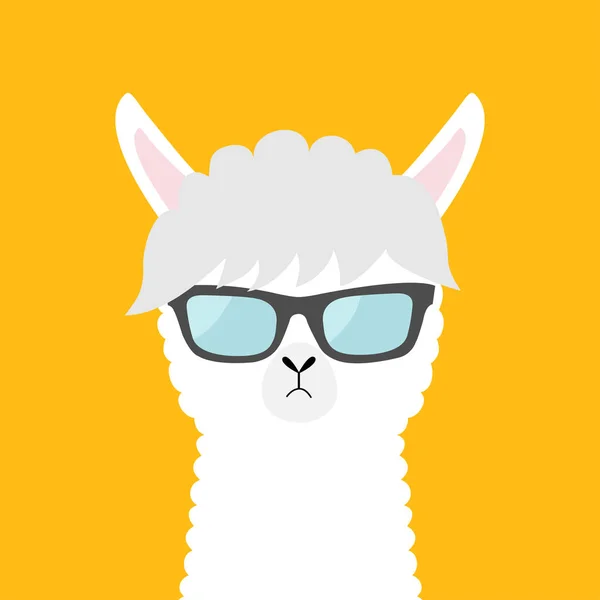 Llama Alpaca Animal Vestindo Sol Glassess Bonito Desenho Animado Engraçado — Vetor de Stock