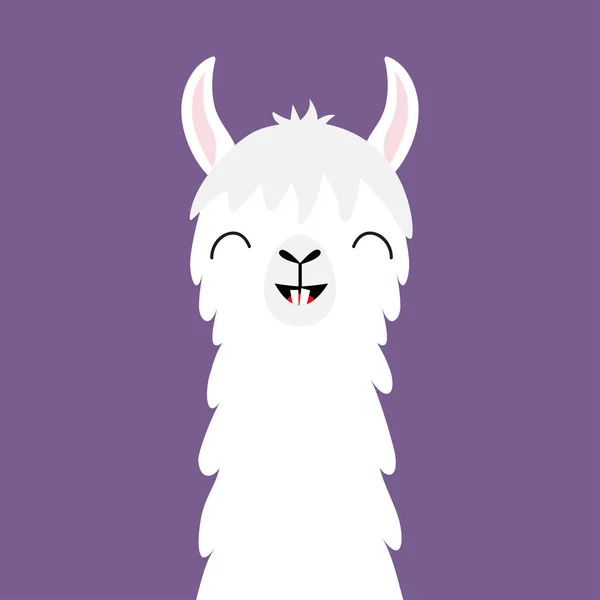 Llama Alpaca Sobre Fondo Violeta Vector — Vector de stock