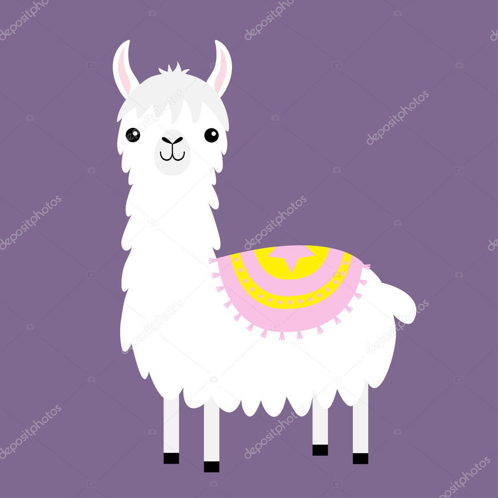 Llama alpaca. Cute cartoon funny kawaii baby character. Childish collection. Fluffy hair fur. Decoration T-shirt, greeting card, poster template print Flat design Violet background Vector illustration