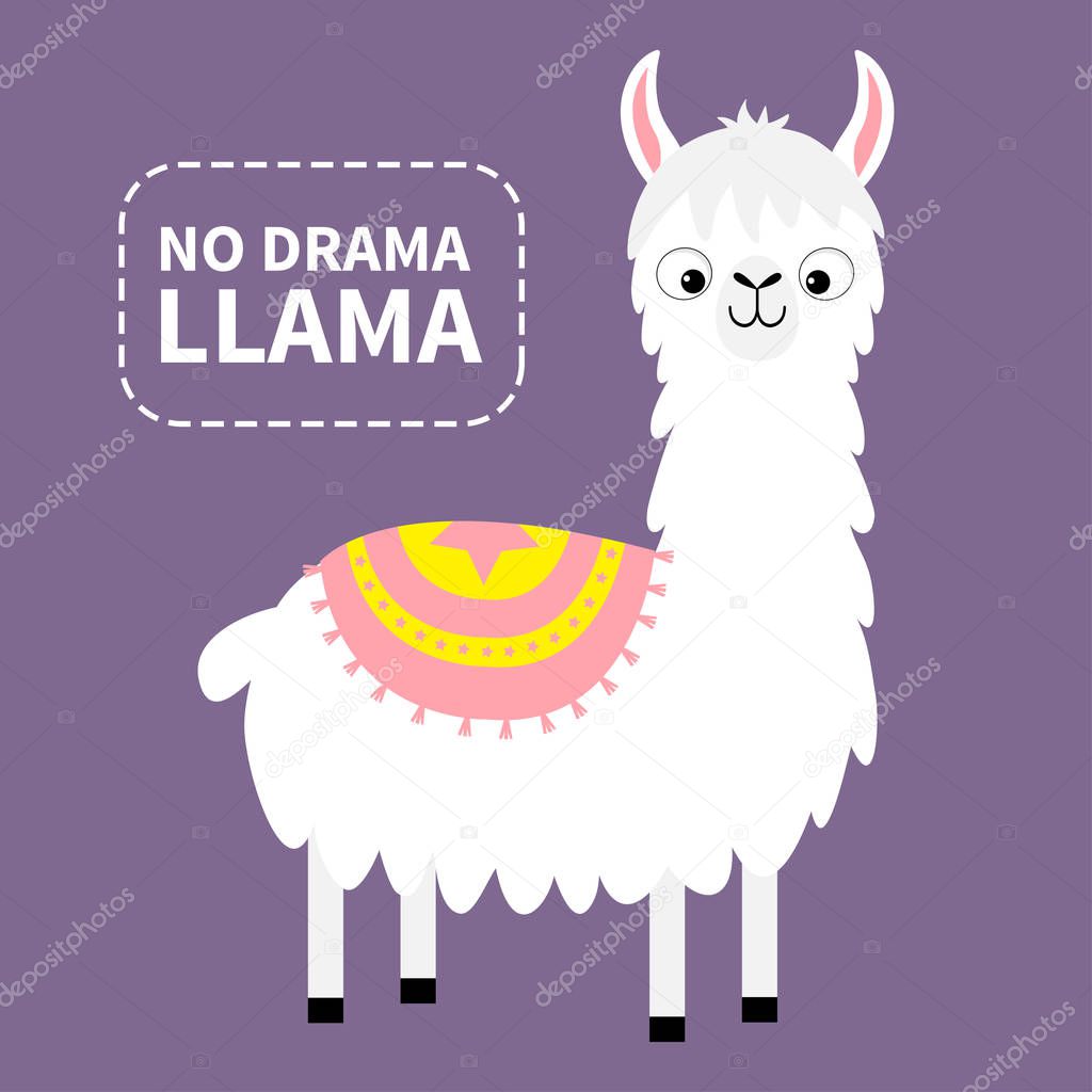 No drama llama. Alpaca animal. Cute cartoon funny kawaii character. Childish baby collection. Fluffy hair fur. T-shirt, greeting card, poster template print. Flat design. Violet background. Vector