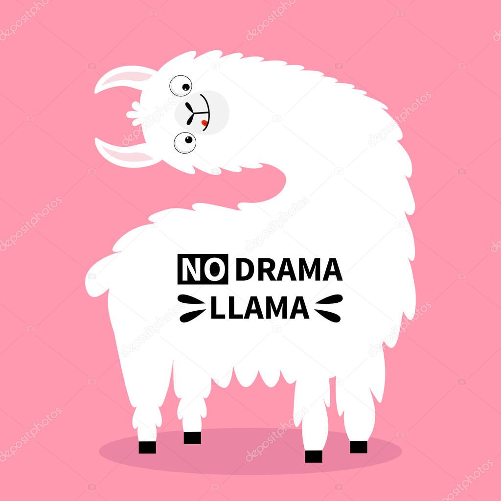 Llama alpaca turning head face, tongue. No drama. Cute cartoon funny kawaii character. Childish baby collection. T-shirt, greeting card, poster template print. Flat design. Pink background. Vector