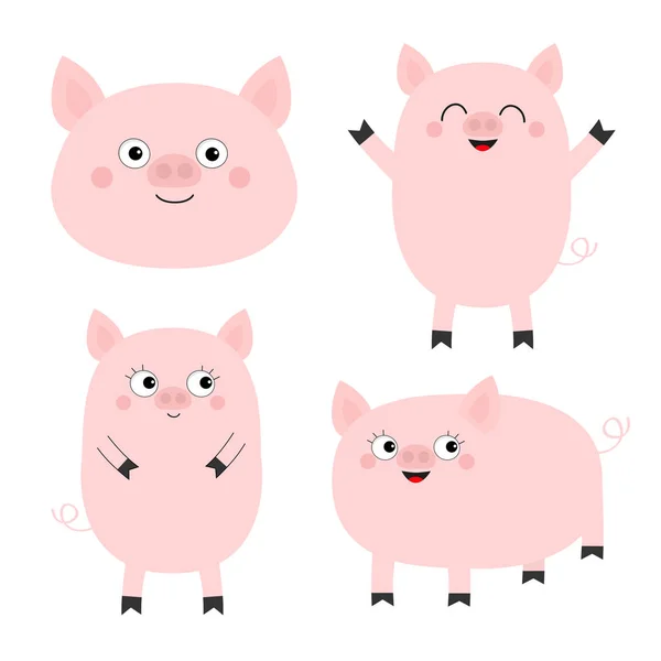 Conjunto Cerditos Lindo Personaje Divertido Bebé Dibujos Animados Cerda Porcina — Vector de stock