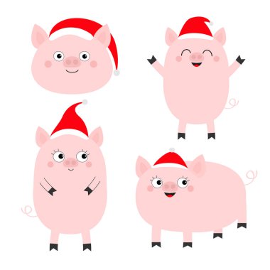 Domuz domuz yavrusu küme. Sevimli çizgi film komik bebek karakteri. Domuz domuz domuz hayvan. Noel Baba şapkası. 2019 yeni yıl sembolü chinise. Zodyak işareti. Düz tasarım. Beyaz arka plan. İzole. Vektör çizim