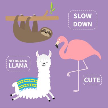 Alpaka, tembellik, flamingo küme. Yok drama Lama. Yavaşlamak. Sevimli çizgi film komik kawaii karakteri. T-shirt, tebrik kartı, poster yazdırma çocukça bebek koleksiyonu düz tasarım şablonu menekşe arka plan vektör