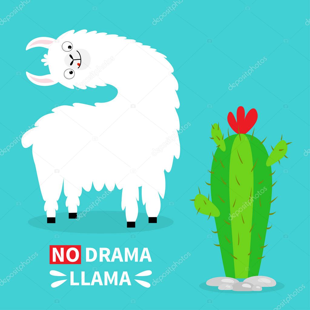 Llama alpaca turning head face, tongue. No drama. Cute cartoon funny kawaii character. Cactus. Childish baby collection. T-shirt, greeting card poster template print Flat design Blue background Vector