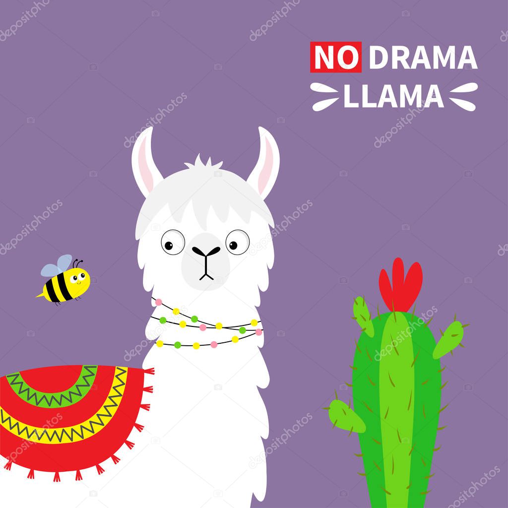 Llama alpaca face, bee, cactus. No drama. Childish baby collection. Cute cartoon funny kawaii character. T-shirt, greeting card, poster template print. Flat design. Violet background. Vector