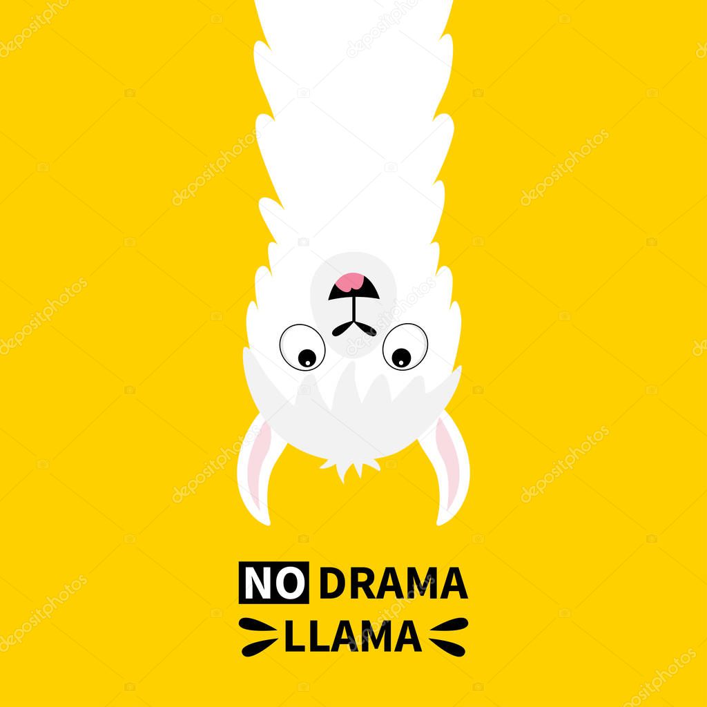 Llama alpaca face hanging upside down. No drama. Cute cartoon funny kawaii character. Childish baby collection. T-shirt, greeting card, poster template print. Flat design. Yellow background. Vector