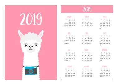 Lama alpaka ve kamera. Basit cep Takvim düzeni 2019 yeni yıl. Haftası Pazar günü başlar. Sevimli çizgi film karakteri. Dikey yönlendirme. Düz tasarım. Pembe bir arka plan. Vektör çizim
