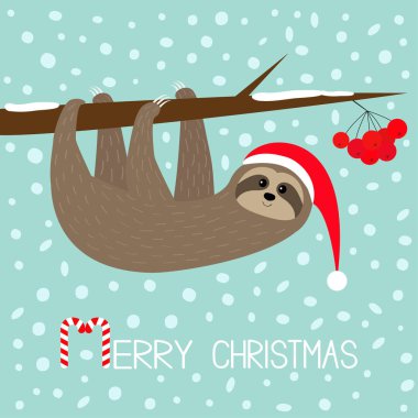 Mutlu Noeller. Rowan rowanberry sorb berry ağaç dalına asılı tembel hayvan. Noel Baba şapkası. Yeni Yılınız Kutlu Olsun. Sevimli çizgi komik karakter. Bebek koleksiyonu. Düz tasarım. Mavi kar arka plan. Vektör