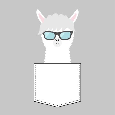 Alpaka Lama yüz baş cebinde. Güneş gözlüğü. Sevimli çizgi hayvanlar. Kawaii karakter. Kesik çizgi. Beyaz ve siyah renk. T-shirt tasarım. Bebek gri arka plan. Düz tasarım vektör