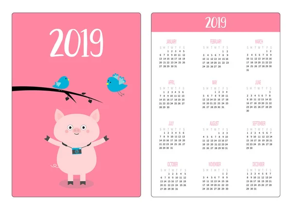 Porquinho Pássaro Layout Calendário Bolso Simples 2019 Ano Novo Semana —  Vetores de Stock