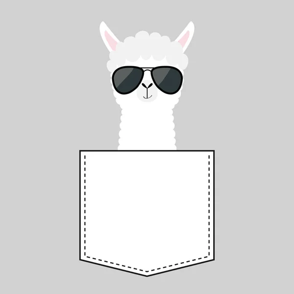 Alpaca Llama Sentada Bolsillo Cara Con Gafas Sol Negras Diseño — Archivo Imágenes Vectoriales