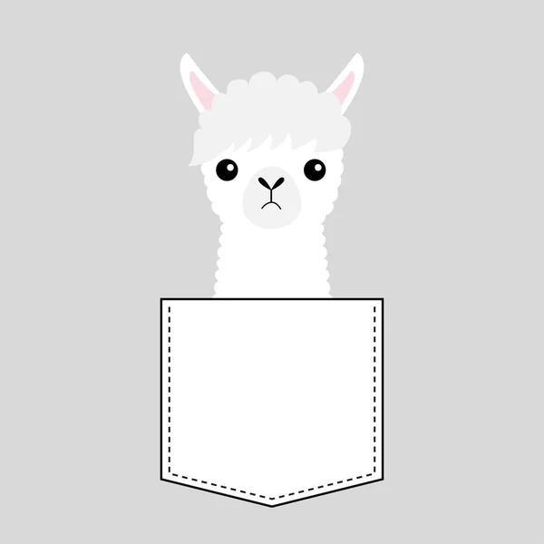 Lama Alpaka Tvář Hlavy Kapse Roztomilý Kreslený Zvířata Kawaii Charakter — Stockový vektor