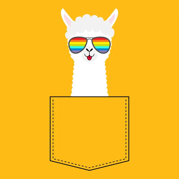 Cabeça Cara Lhama Alpaca Bolso Óculos Arco Íris Animais Desenhos — Vetor de Stock