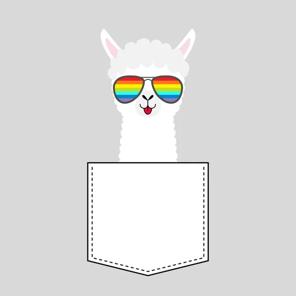 Alpaka Lama Gesicht Kopf Der Tasche Regenbogenbrille Niedliche Zeichentricktiere Kawaii — Stockvektor