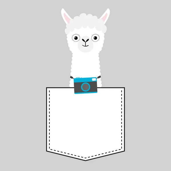 Llama Alpaca Cara Cabeça Bolso Câmera Fotográfica Animais Desenhos Animados — Vetor de Stock