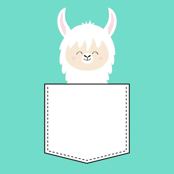 Cara Llama Alpaca Sentada Bolsillo Diseño Camiseta Lindo Personaje Divertido — Vector de stock