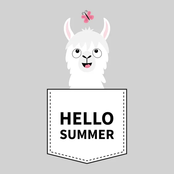 Hello Summer Llama Alpaca Face Head Pocket Butterfly Cute Cartoon — Stock Vector