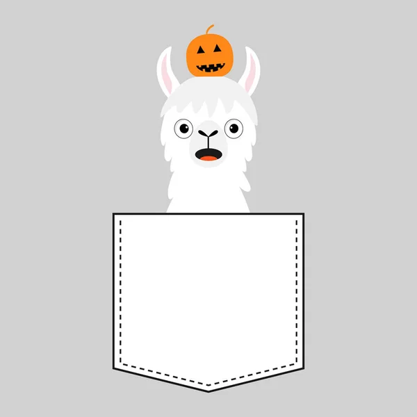 Lama Alpaka Sedí Kapse Tvář Halloween Dýně Shirt Design Roztomilý — Stockový vektor