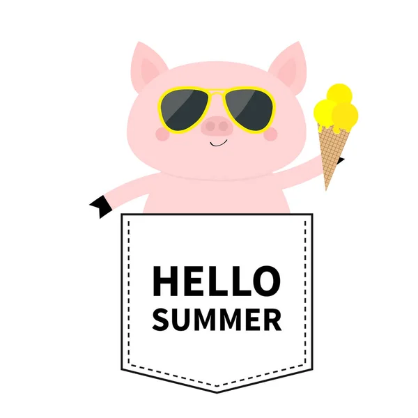 Hallo Sommer Schweinegesicht Kopf Der Tasche Gläser Eis Niedliche Zeichentricktiere — Stockvektor