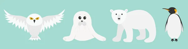 White Bear Uil Koning Van Pinguïn Keizer Aptenodytes Patagonicus Seal — Stockvector