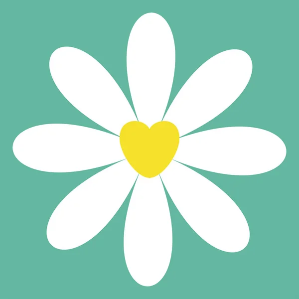 白色洋甘菊雏菊图标 可爱的花卉植物收藏 黄色心脏中心 情人节爱情卡 甘菊生长的概念 扁平设计 绿色背景 向量例证 — 图库矢量图片